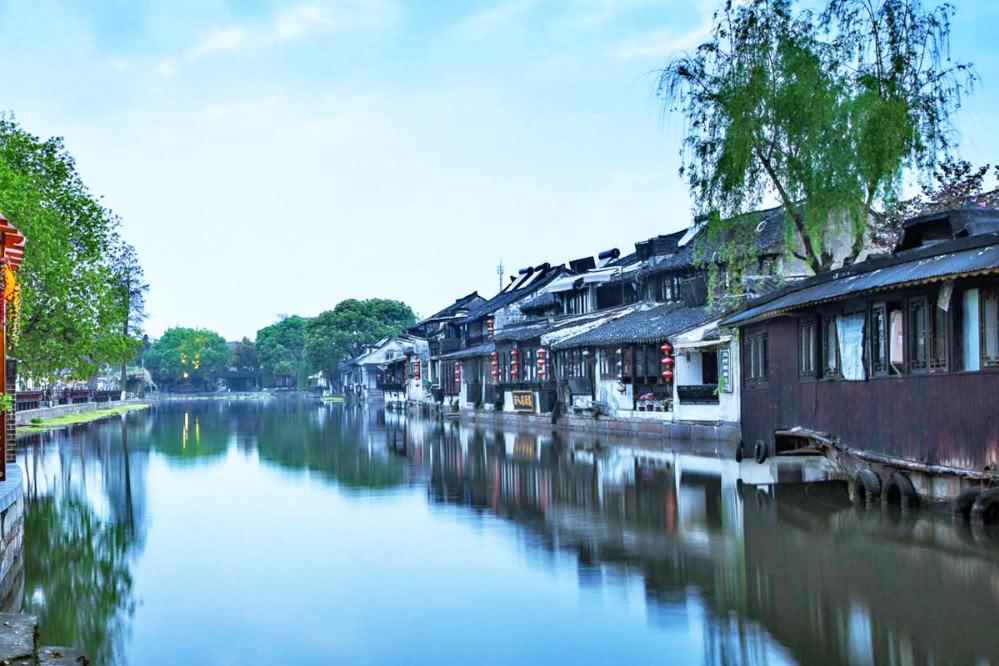 动物帮帮忙保卫家园